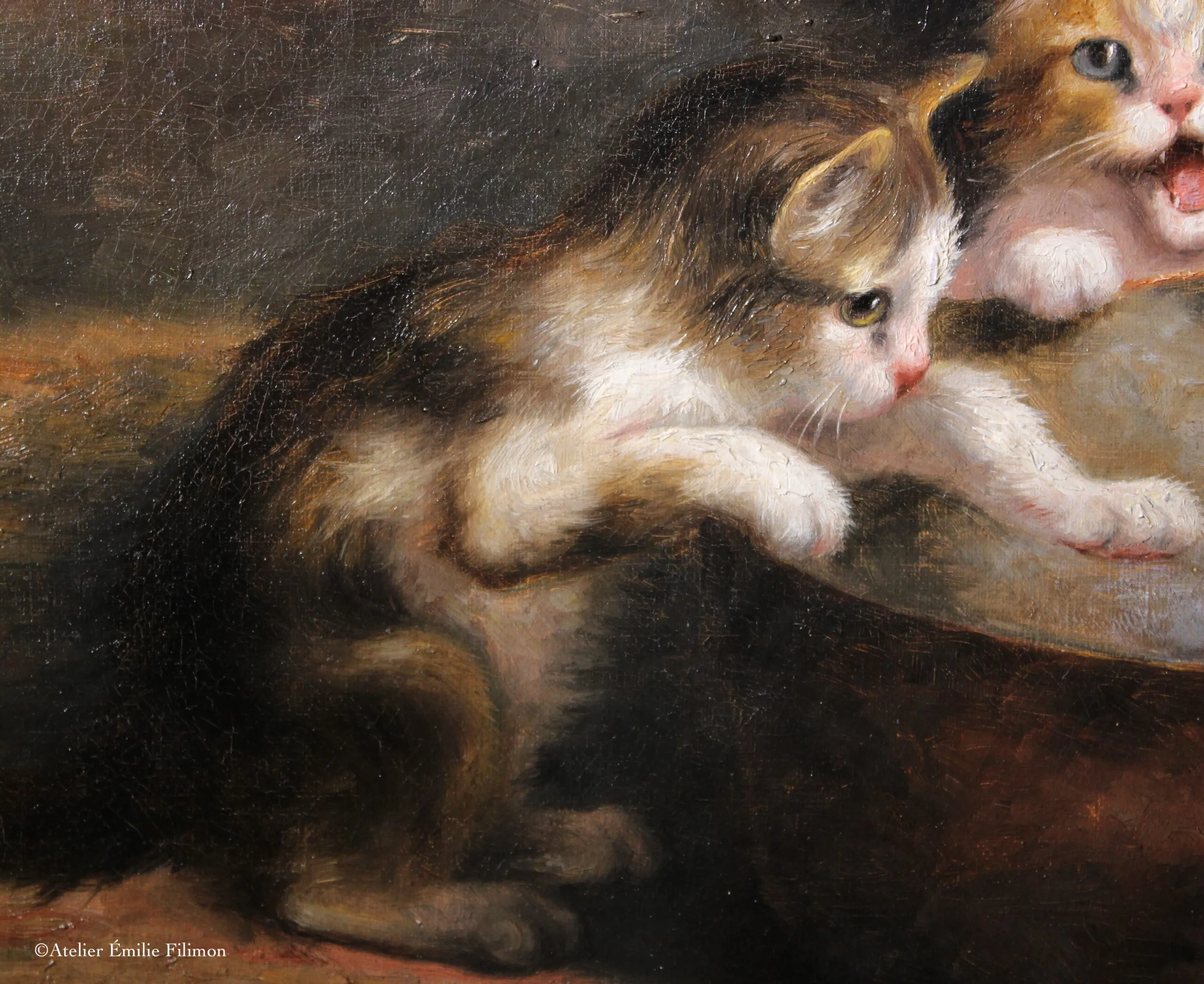 Chats après restauration