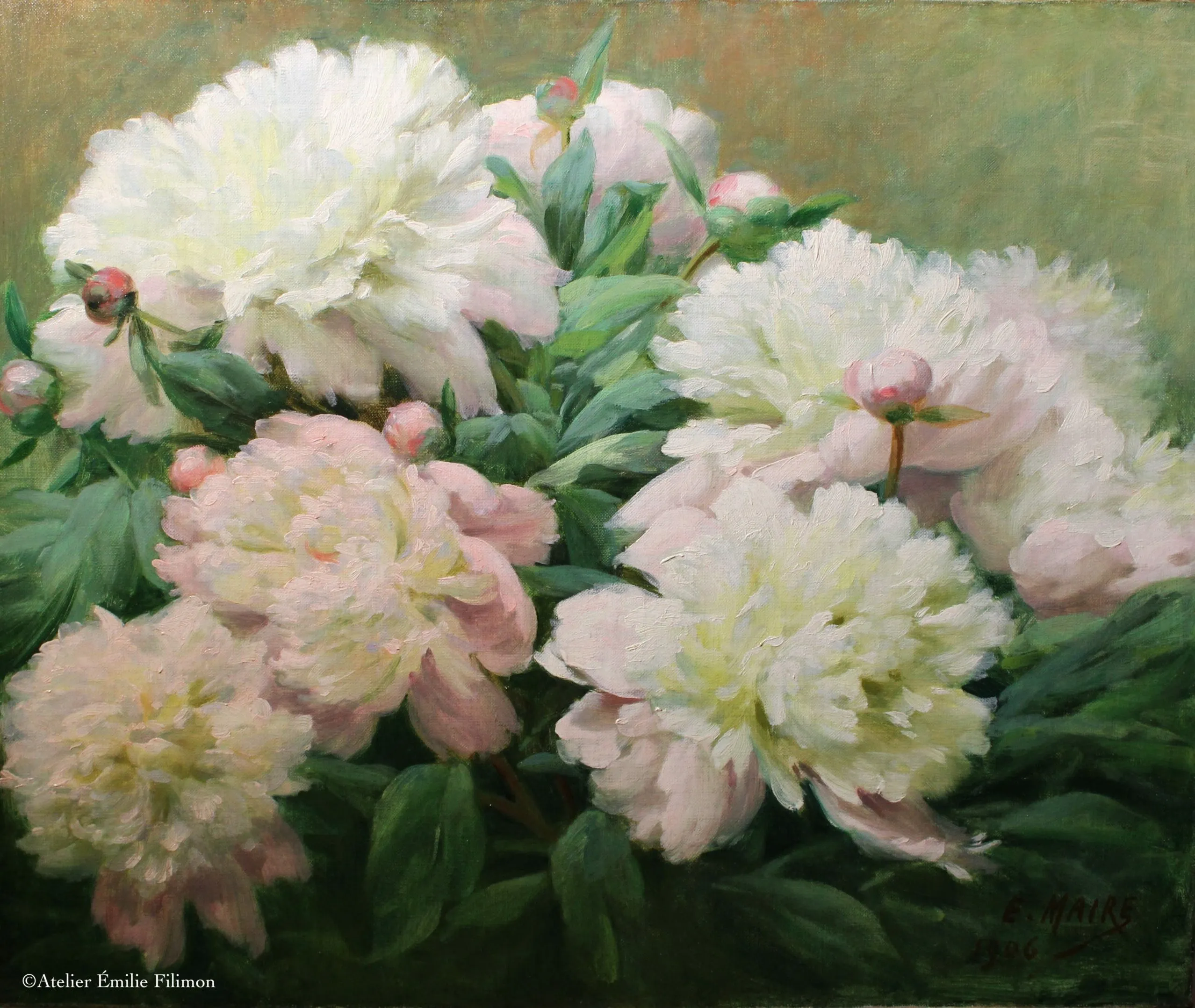 Pivoines après allègement de vernis