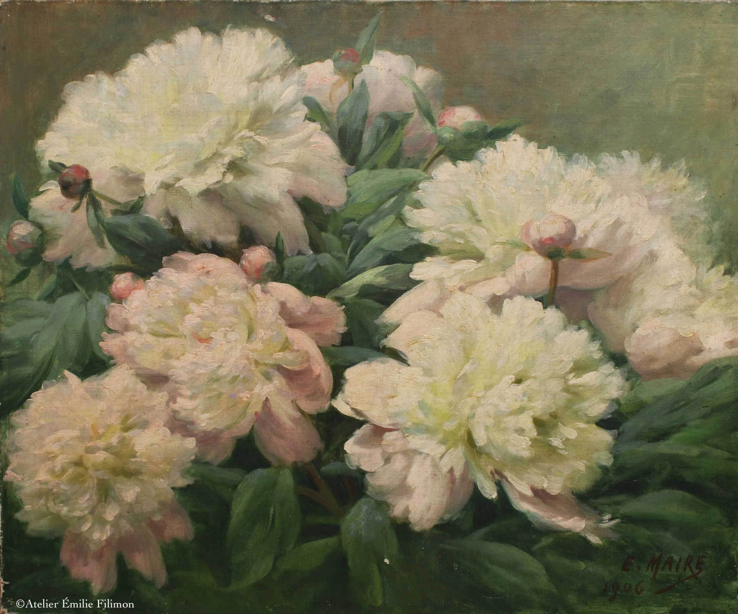 Pivoines avant allègement de vernis
